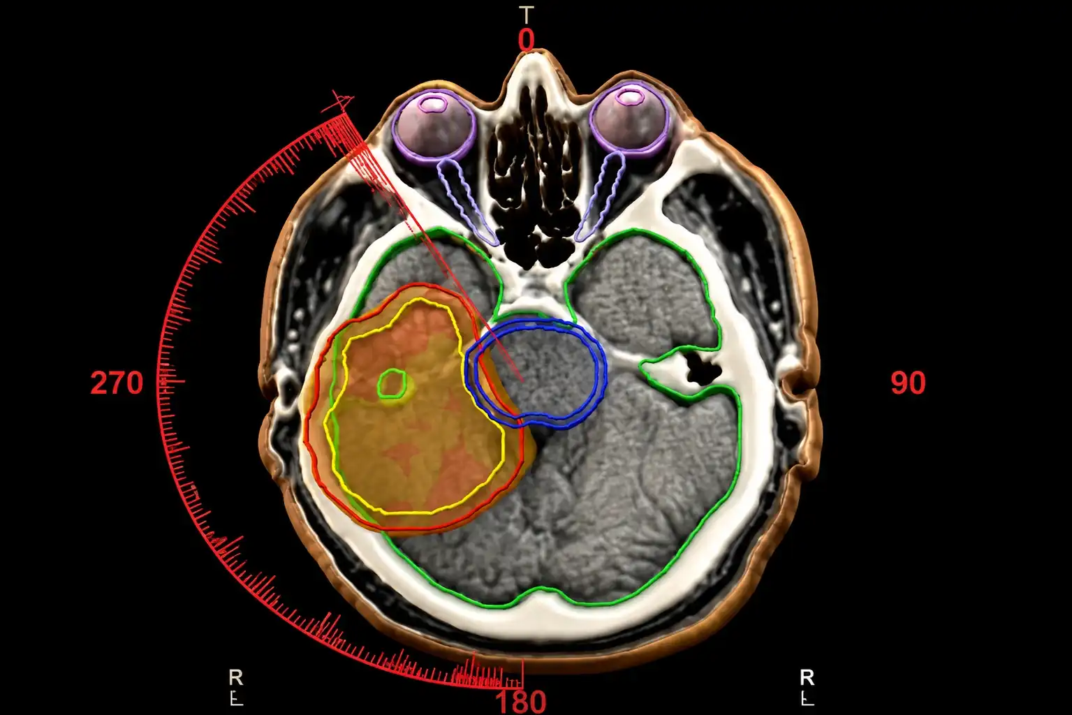 Cardiology Services